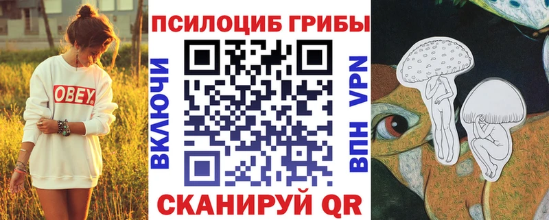 Псилоцибиновые грибы MAGIC MUSHROOMS  Купить закладки  Гдов 